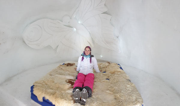 Roo on an igloo bed